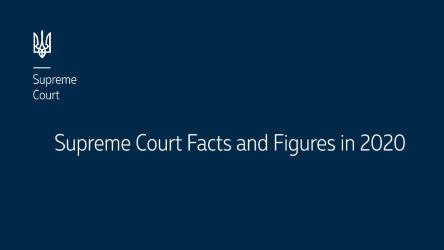 Supreme Court Facts and Figures in 2020