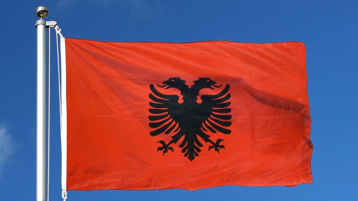Council of Europe Congress observes local elections in Albania