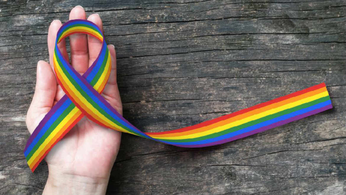 CoE calls for the rights of LGBTI people on the occasion of the International Day against Homophobia (IDAHO)