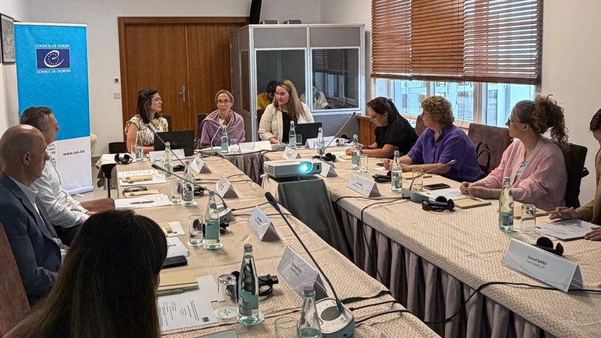 Strengthening the Right to Liberty and Security in Albania: Partners and Beneficiaries discuss key achievements and priorities