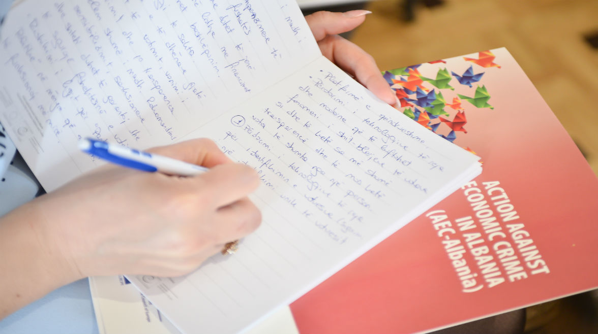 Action against Economic Crime supports Electoral Reform in Albania ...