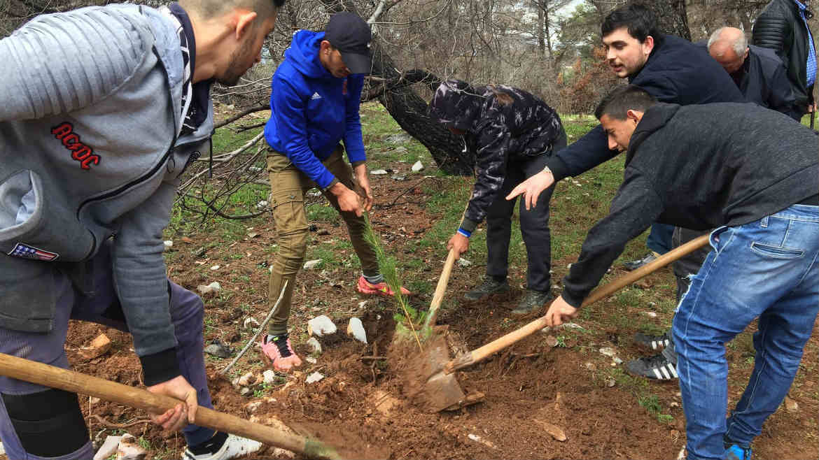 Roma community leaders and civil society organizations contribute  to reforestation of Krastë e Madhe