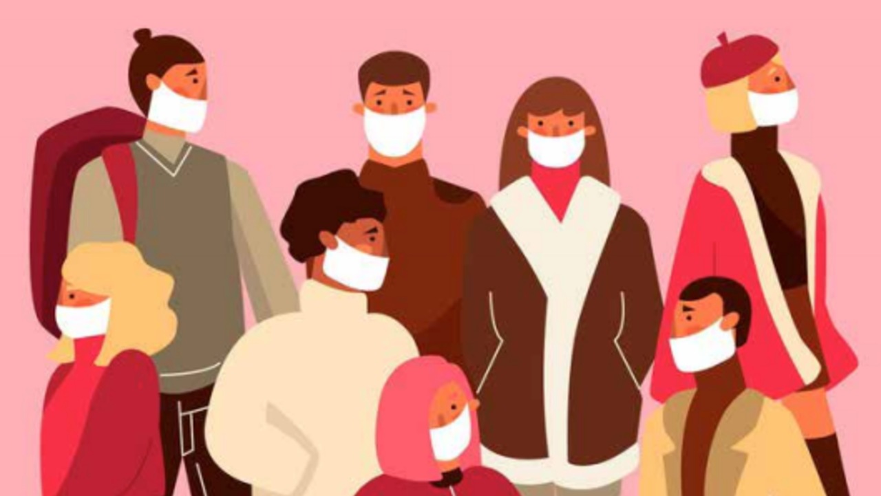 COVID-19 outbreak, information in minority languages