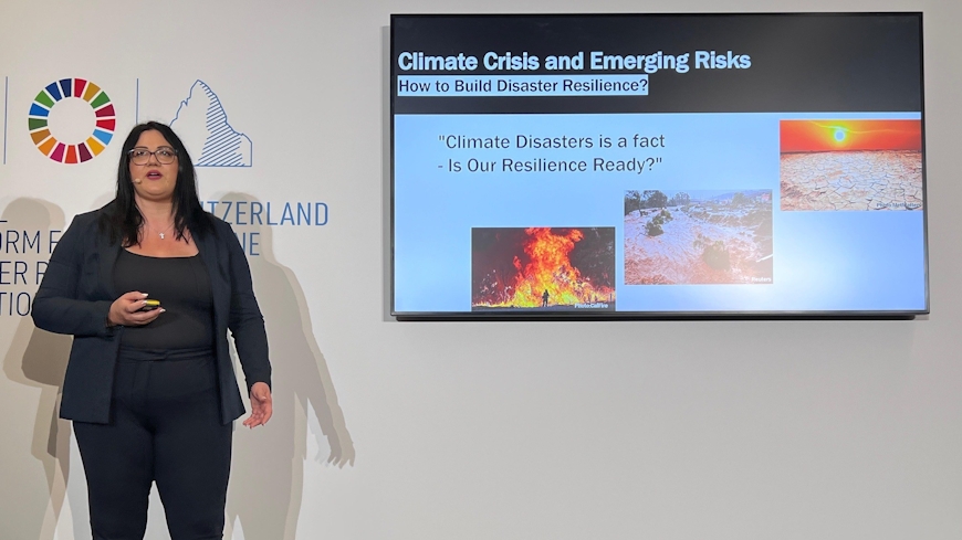 Global Platform for Disaster Risk Reduction