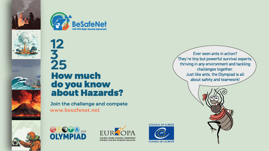 Olympiad BeSafeNet 2025