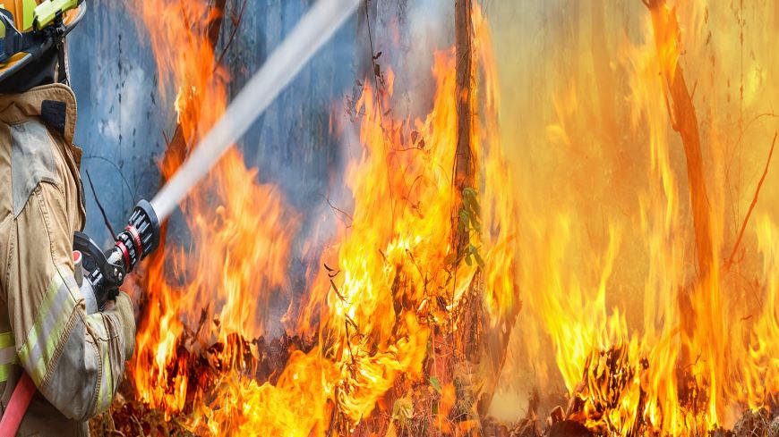 Premier atelier technique du Centre mondial de gestion des incendies