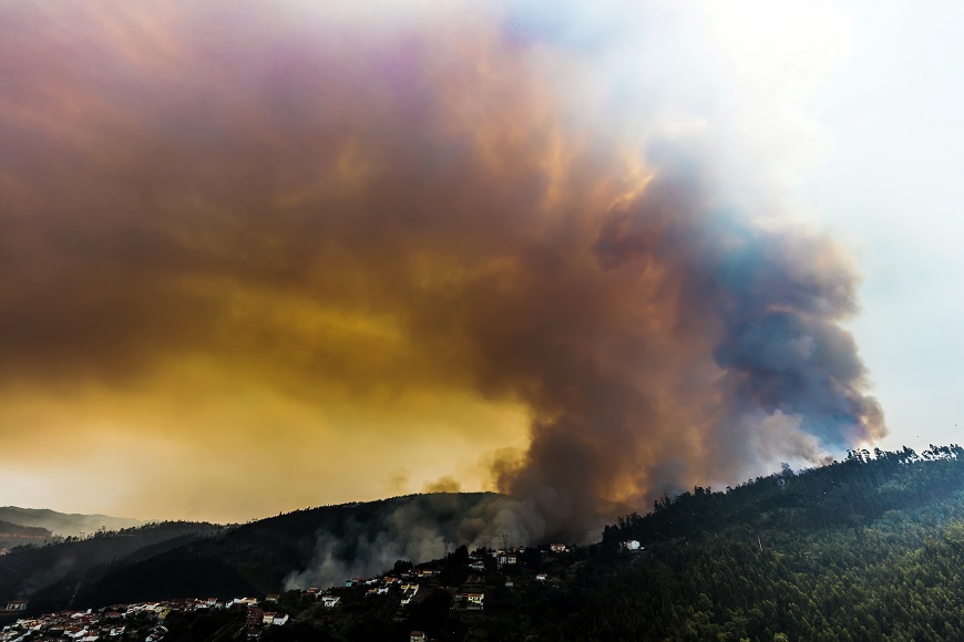 Atelier du Centre mondial de gestion des incendies