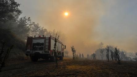 Nouvelle publication du Centre européen sur les feux de forêts