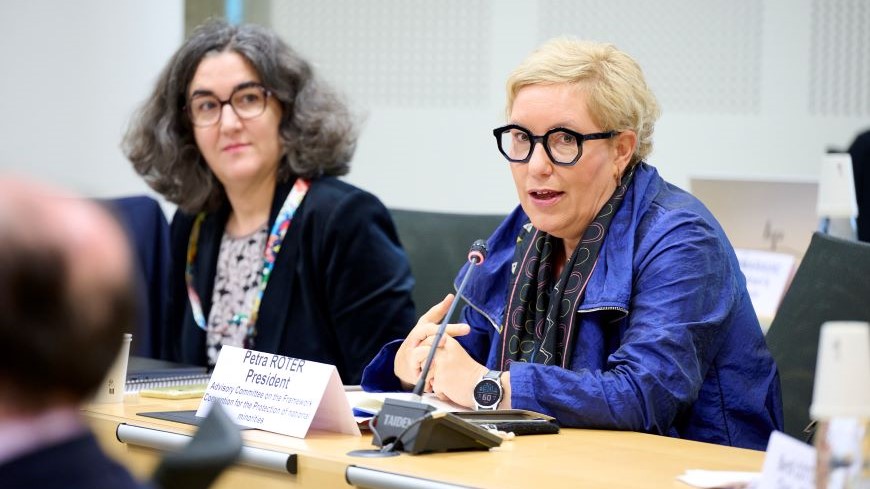 Meeting of the Chairs of the Council of Europe Monitoring Bodies with the Secretary General