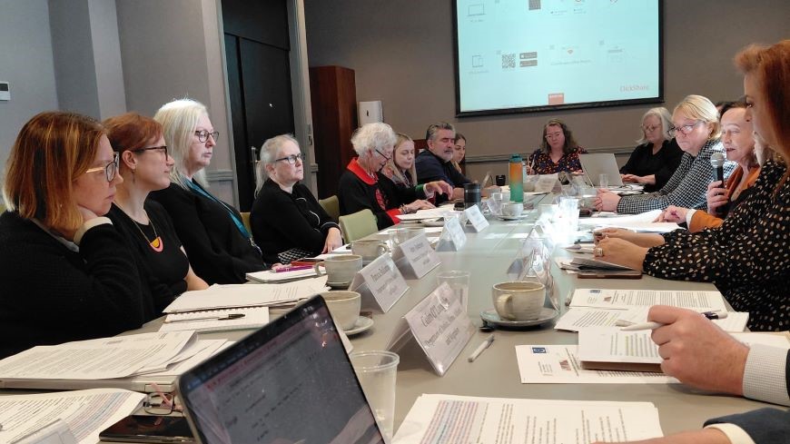 Ireland: Follow-up dialogue