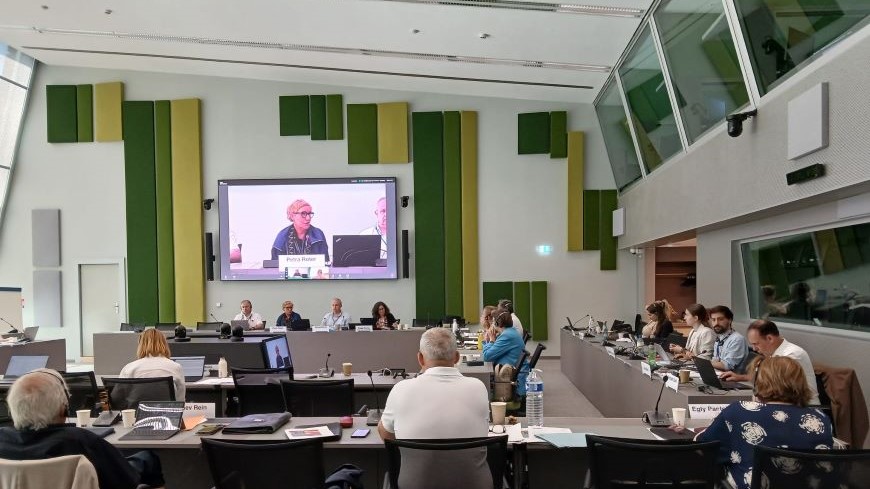 86e réunion plénière du Comité consultatif