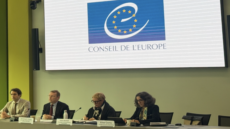 87th plenary meeting of the Advisory Committee