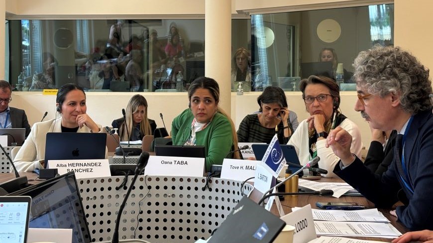 ACFC participation: PACE-Committee on Equality and Non-Discrimination hearing on addressing discrimination against women and girls belonging to national minorities