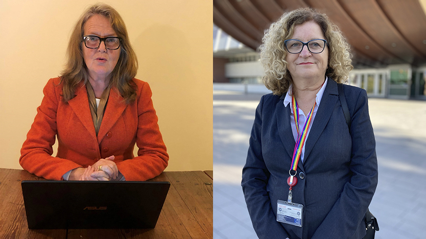 National minorities and minority languages on the agenda of the 4th plenary meeting of the Council of Europe Steering Committee on Anti-Discrimination, Diversity and Inclusion - CDADI