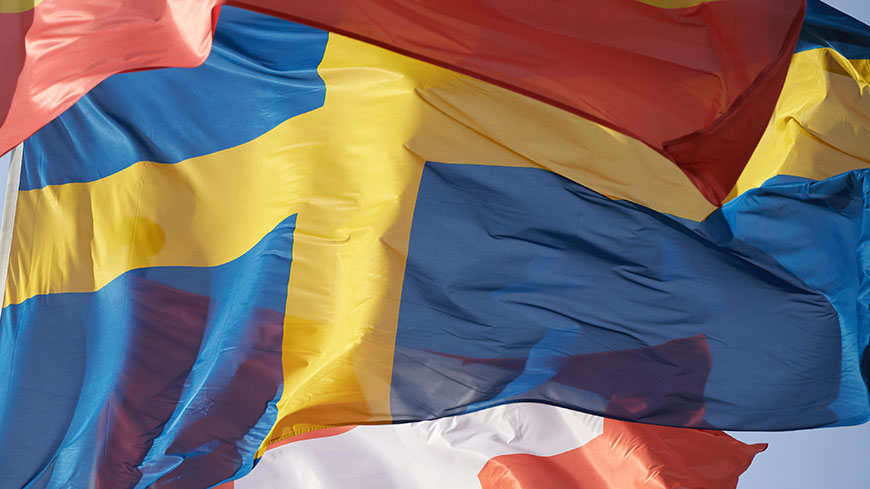 Sweden: publication of the 5th Advisory Committee Opinion