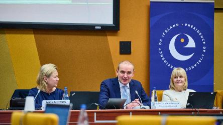 Joining forces for high-level conference on digital violence against women