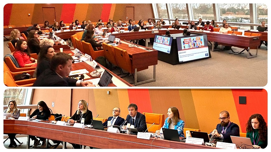 Kicking off: a Council of Europe Network of specialised lawyers and NGOs assisting women victims of violence