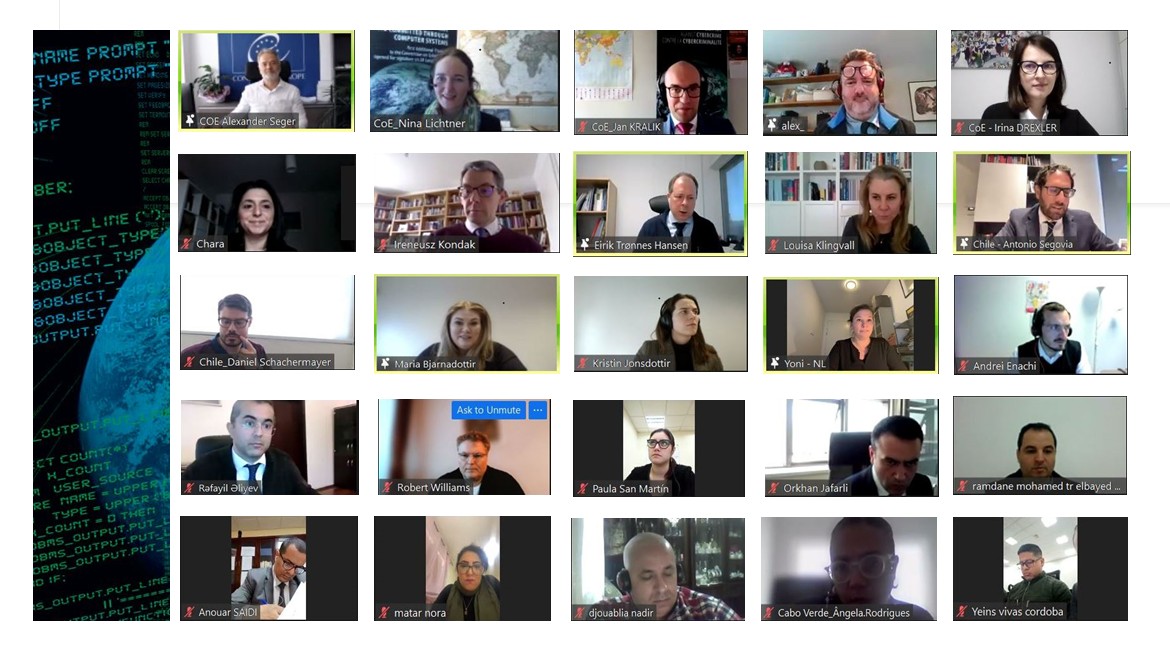 Octopus Project: Webinar on strengthening the capacities of criminal ...