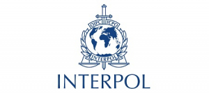 Over 5,800 arrests, USD 293 million intercepted in global fraud bust
