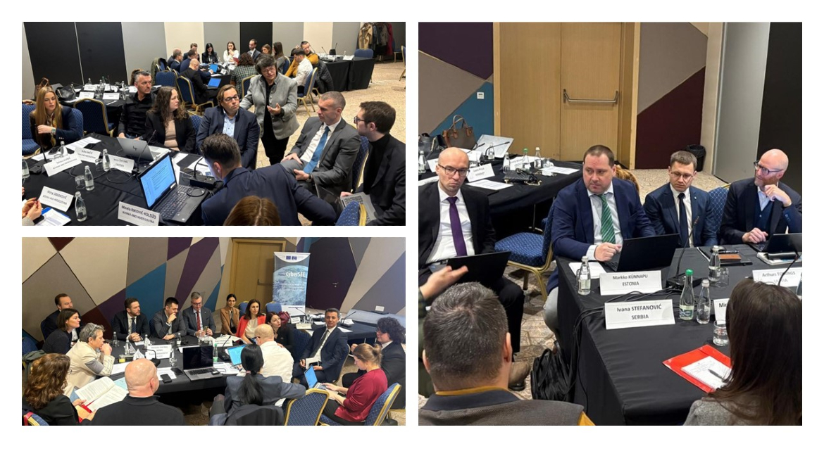 CyberSEE and CyberSPEX: International workshop on the implementation of the Second Additional Protocol to the Convention on Cybercrime (Budapest Convention)