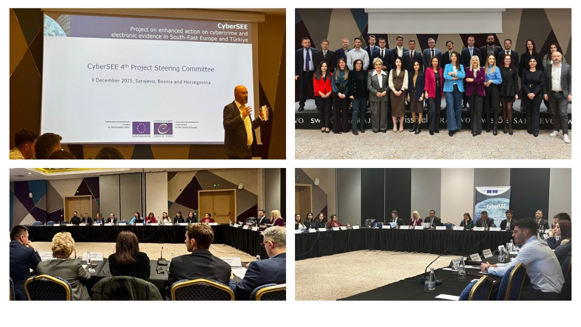 CyberSEE: Fourth Steering Committee Meeting