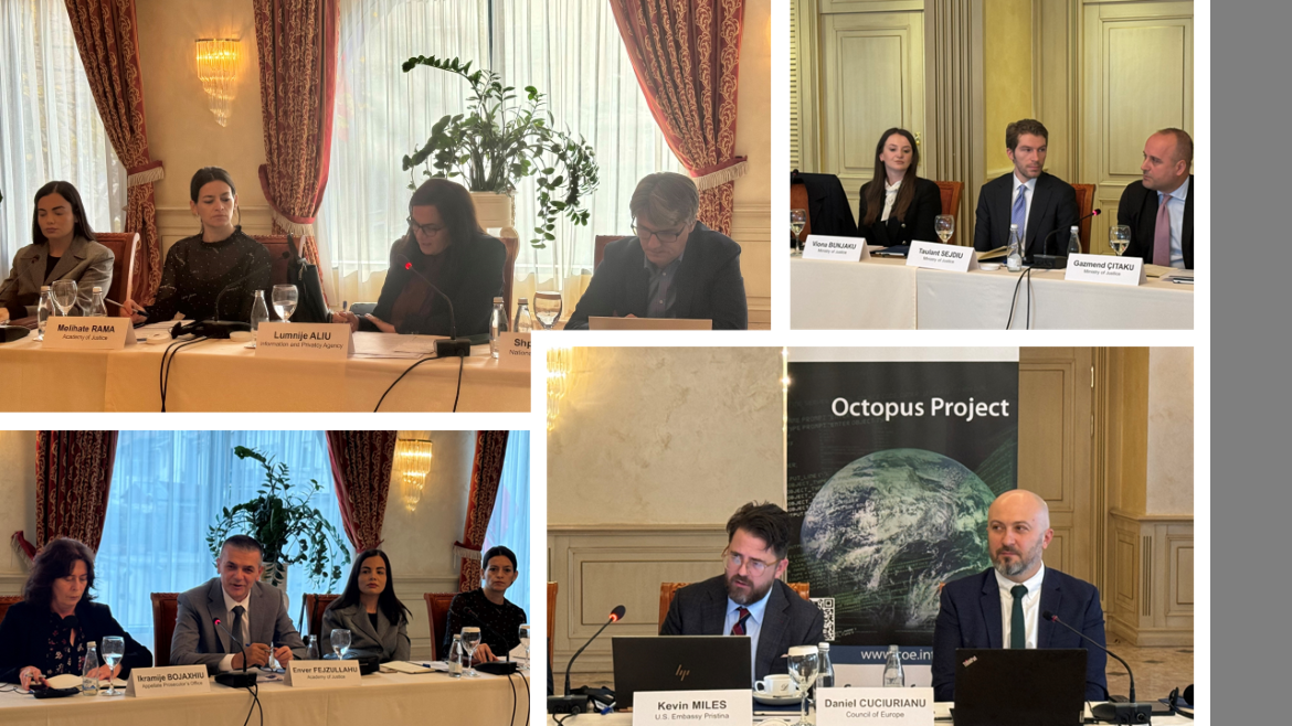 Octopus project – CYBERKOP action: Second Steering Committee meeting of the Action