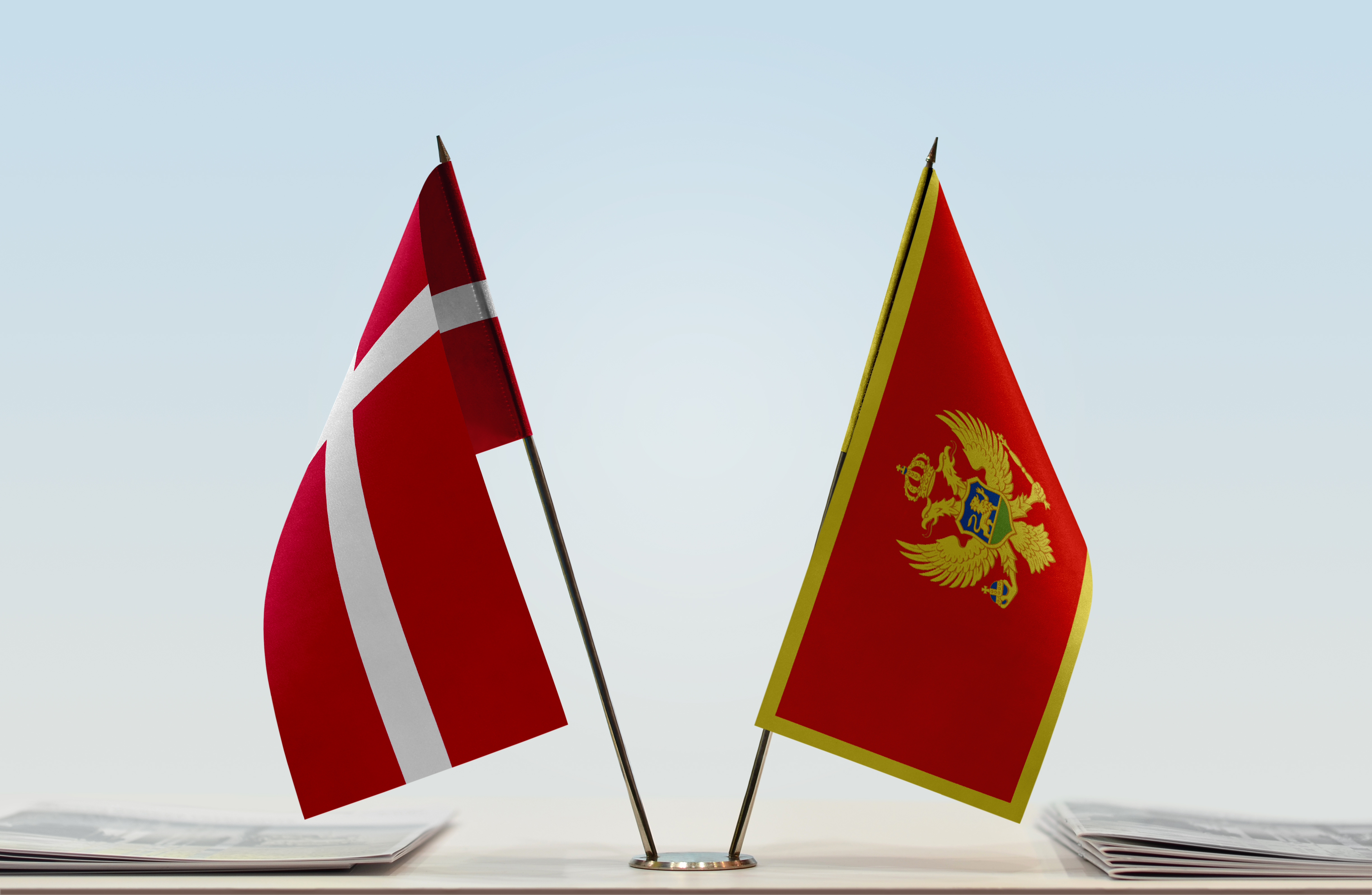 The Conference of INGOs publishes country reports following visits to Denmark and Montenegro