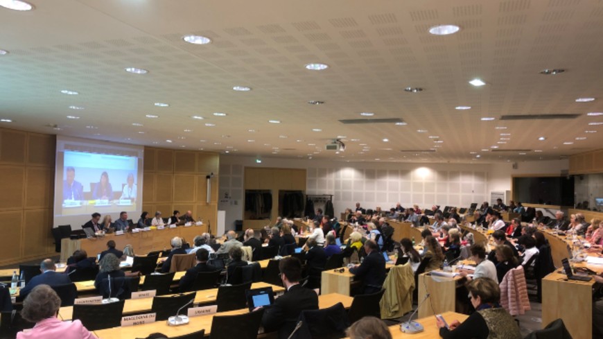 Conference of International NGOs calls on Council of Europe and member states to act for the protection of civic space