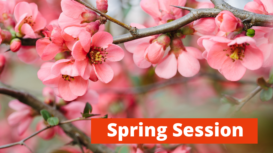 Spring session