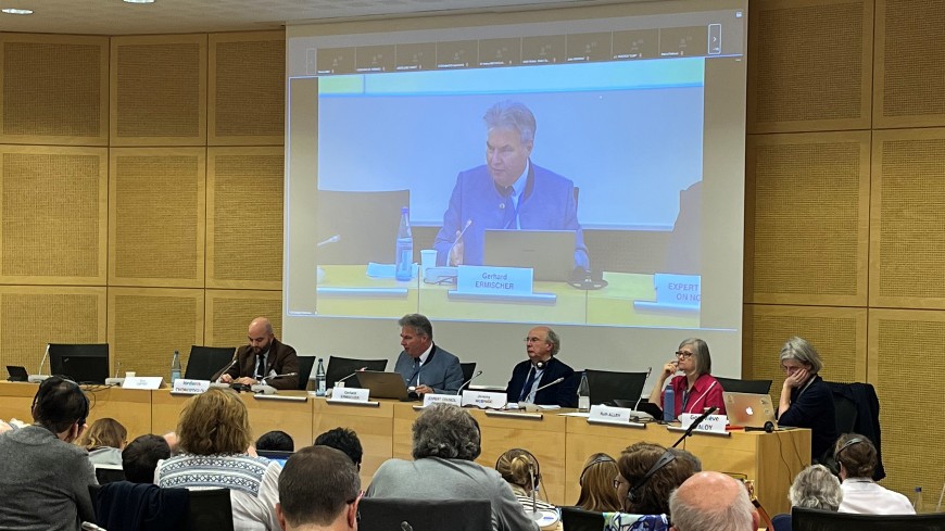 Civic space, situation in Gaza, call for interreligious dialogue platform and other outcomes of CINGO’s autumn session