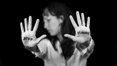 Webinaire sur "Qu'est-ce qui fait de la Convention d'Istanbul la référence en matière de lutte contre la violence envers les femmes et la violence domestique ? Et comment les ONG peuvent-elles y contribuer efficacement ?"