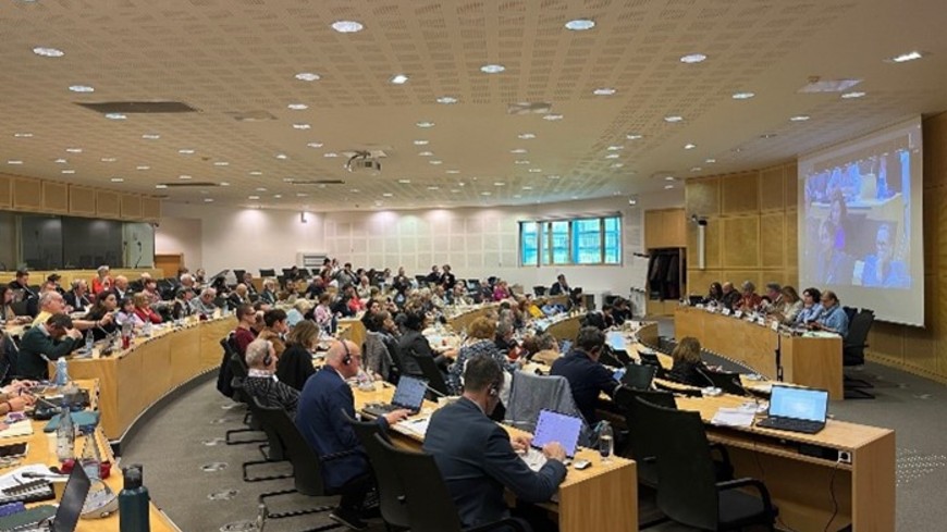 Climate Justice, Rights of the Child, participatory democracy in Serbia and Greece, 50th Anniversary, and other outcomes of CINGO’s Spring session