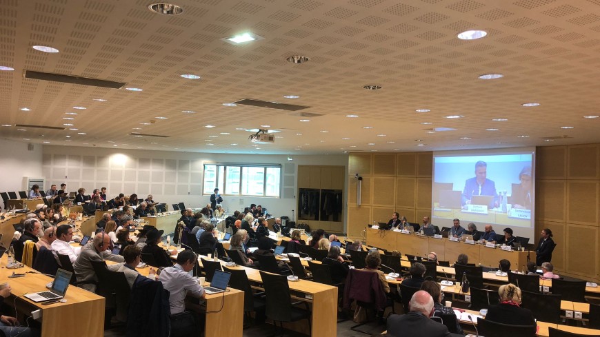 Conference of INGOs holds its 2026 Spring Session
