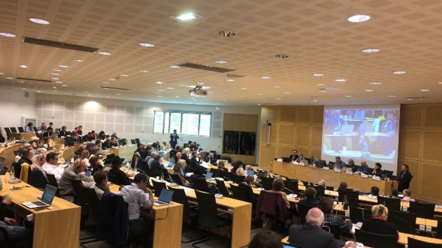 The Conference of INGOs holds its Autumn 2025 session