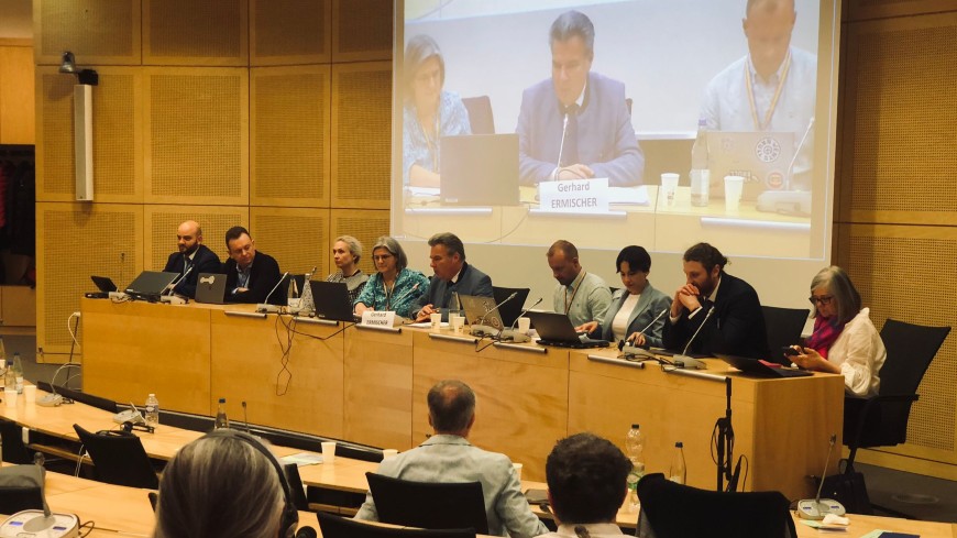 The Conference of INGOs holds its Spring 2025 session