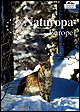 Reintroduction of species (French only)