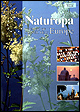 Nature and the different religions