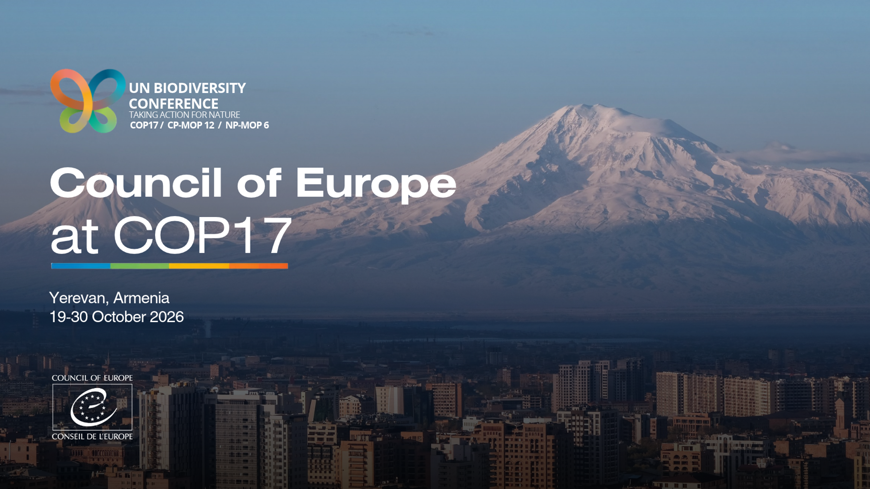 Cultural landscapes and biodiversity: the Landscape Convention at COP17 in Yerevan