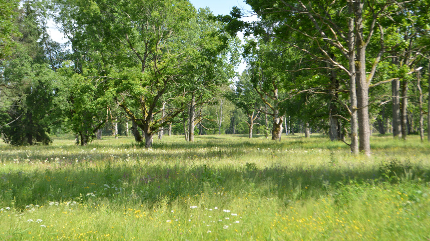 Latvia