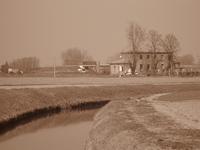 IMG_0333