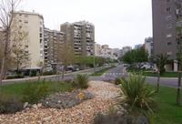 amadora