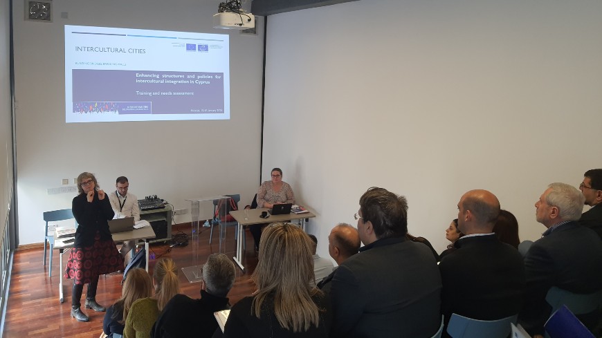 Intercultural training needs assessment in Cyprus