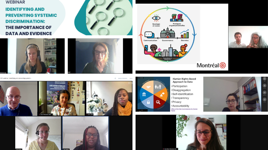 Webinar “Identifying and preventing systemic discrimination: the importance of data and evidence” – Recap and next steps