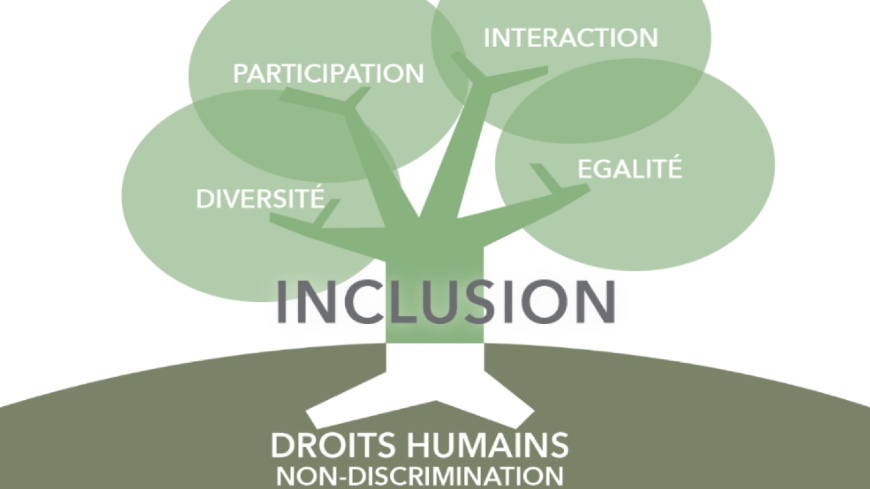 Image d'un arbre représentant l'inclusion enracinée dans les droits humains et la discrimination, avec des branches symbolisant les valeurs interculturelles : égalité, interaction, diversité et participation.