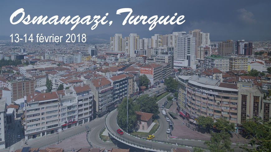 Visite d’expert à Osmangazi (Turquie)