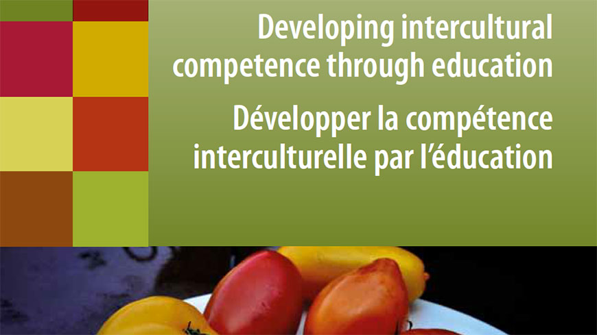 Developing Intercultural Competence through Education