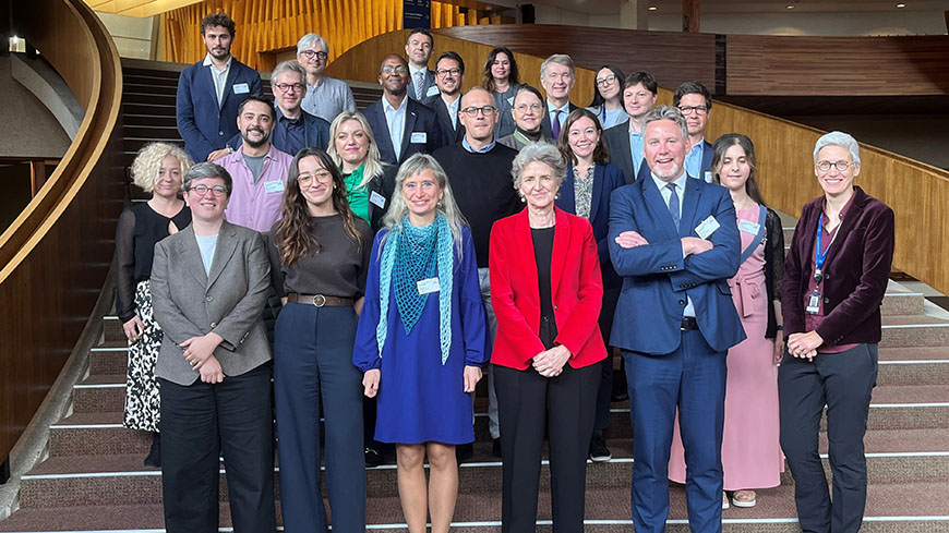 Participants of the 8th ADI-INT meeting at the Council of Europe