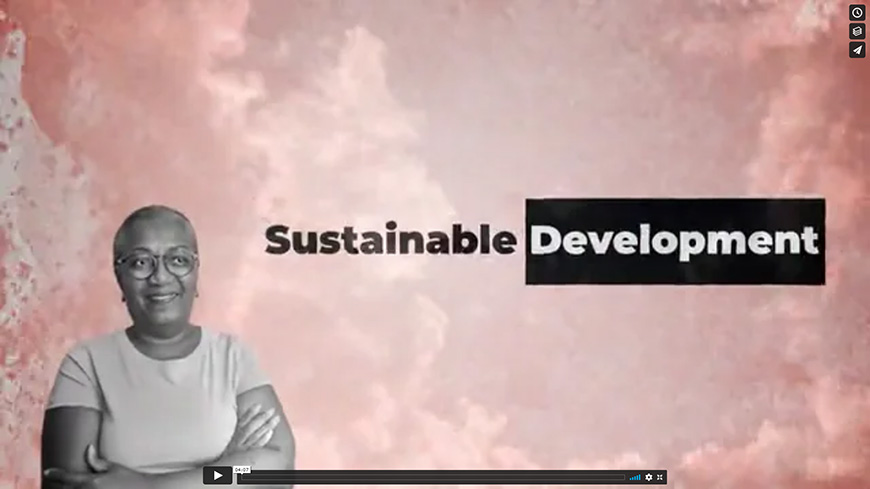 Développement durable et Cités interculturelles : nouvelle vidéo