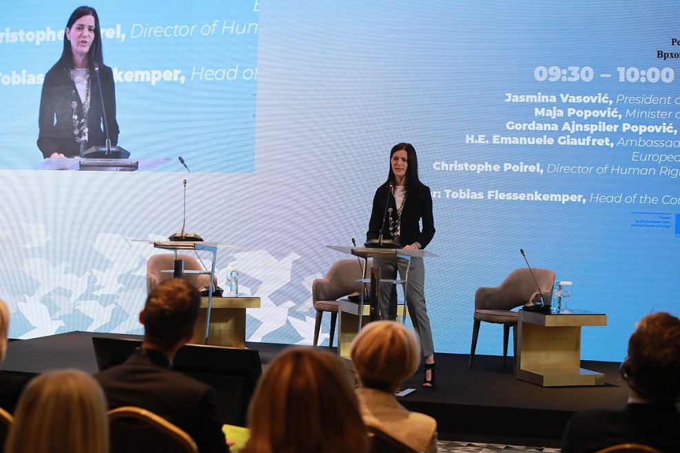 Implementing the European Convention on Human Rights: Domestic courts ...