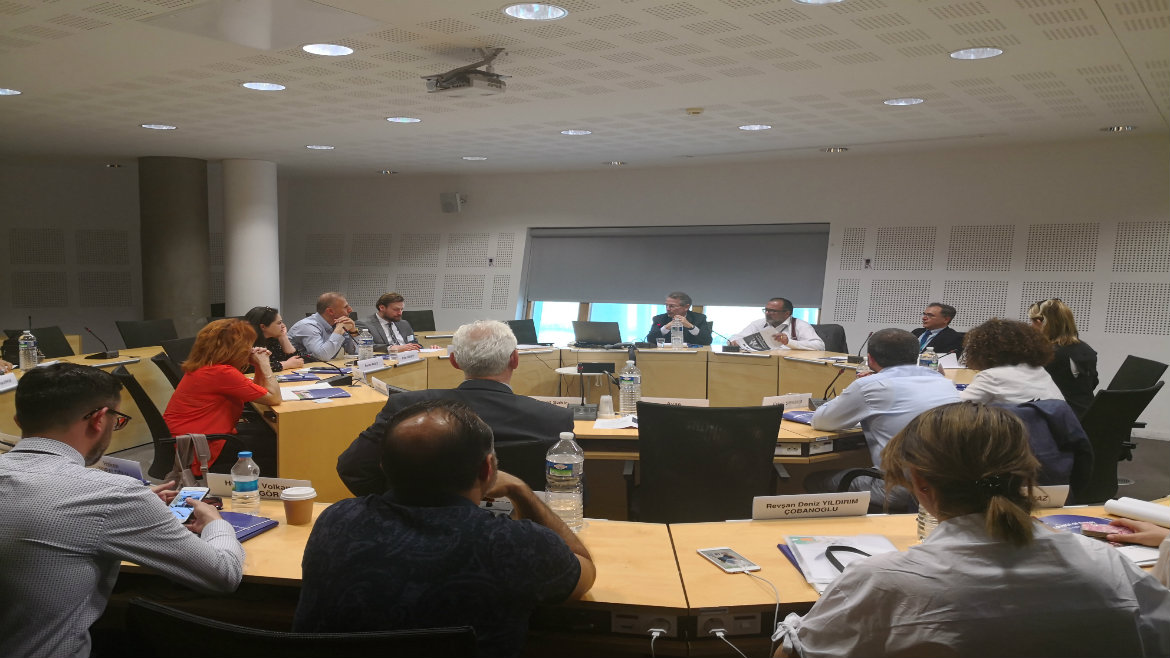 Study visit of Turkish lawyers to the Council of Europe and the European Court of Human Rights